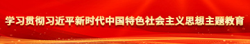 操小骚逼视频电影学习贯彻习近平新时代中国特色社会主义思想主题教育